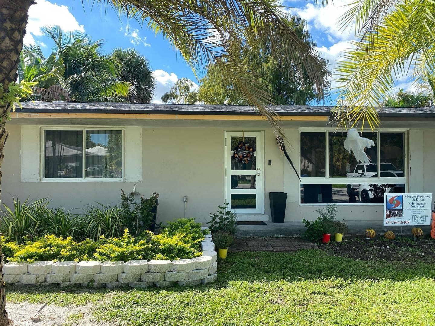 Glass windows and door