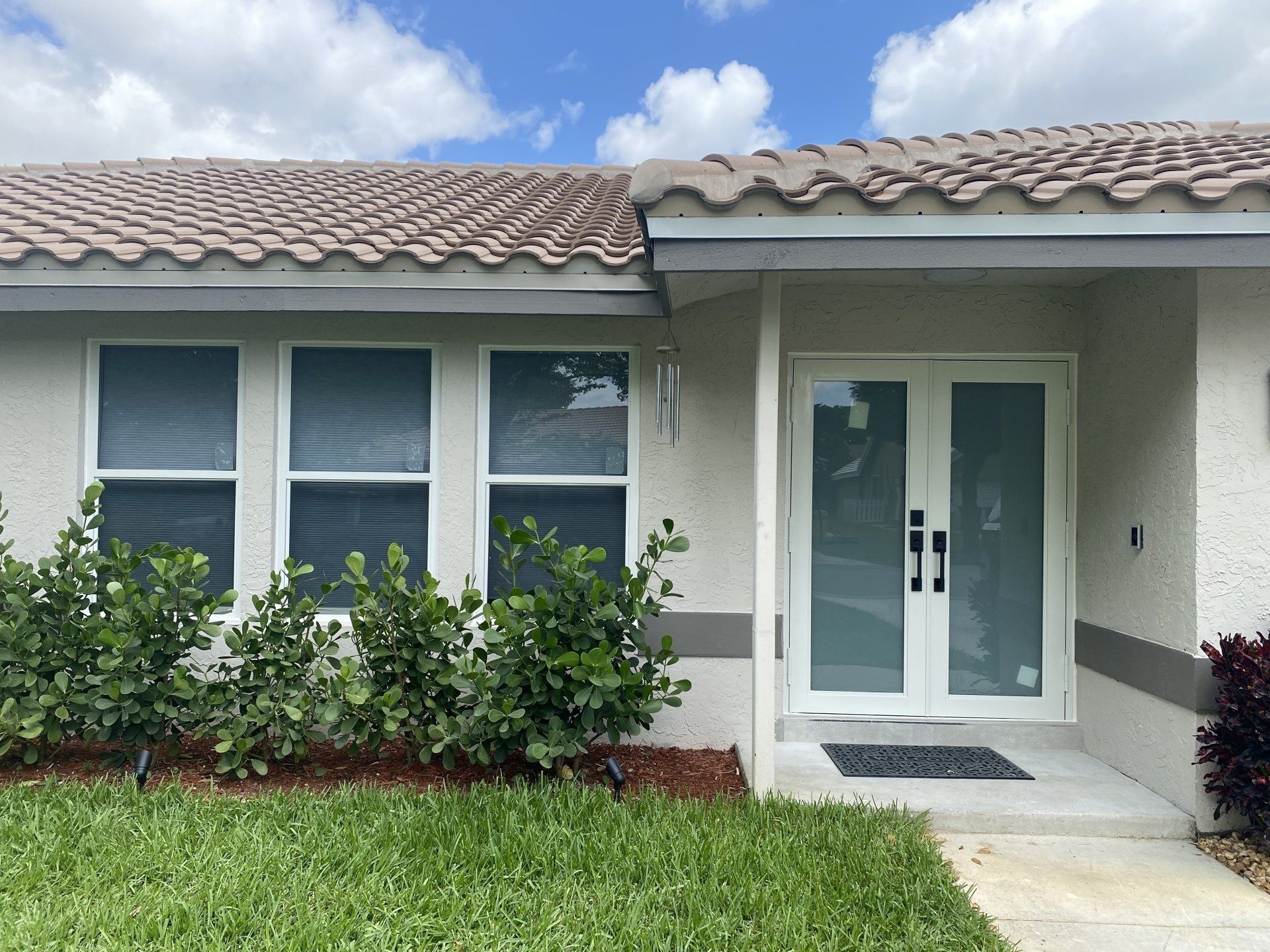 Glass windows and door