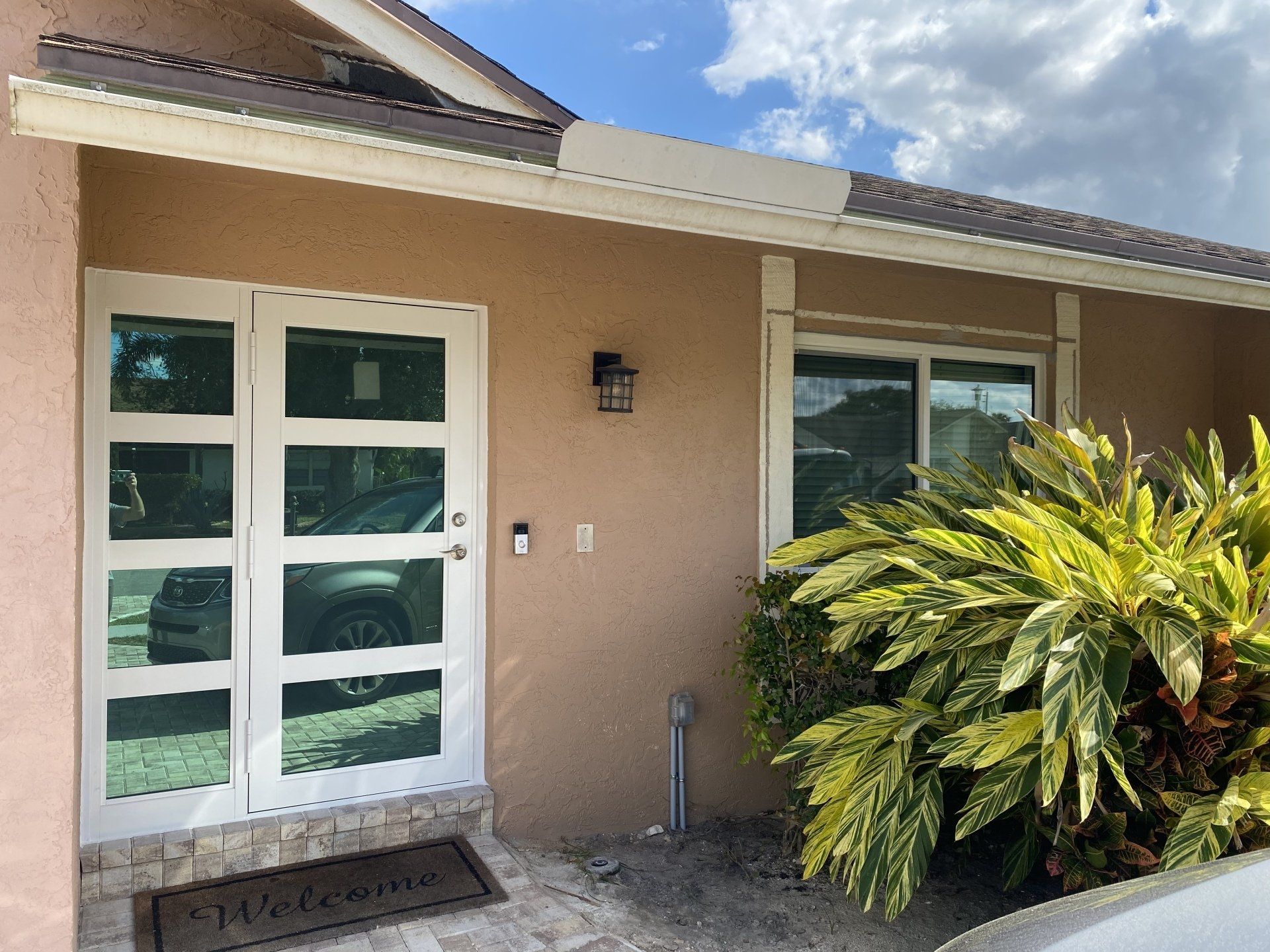 Glass windows and door