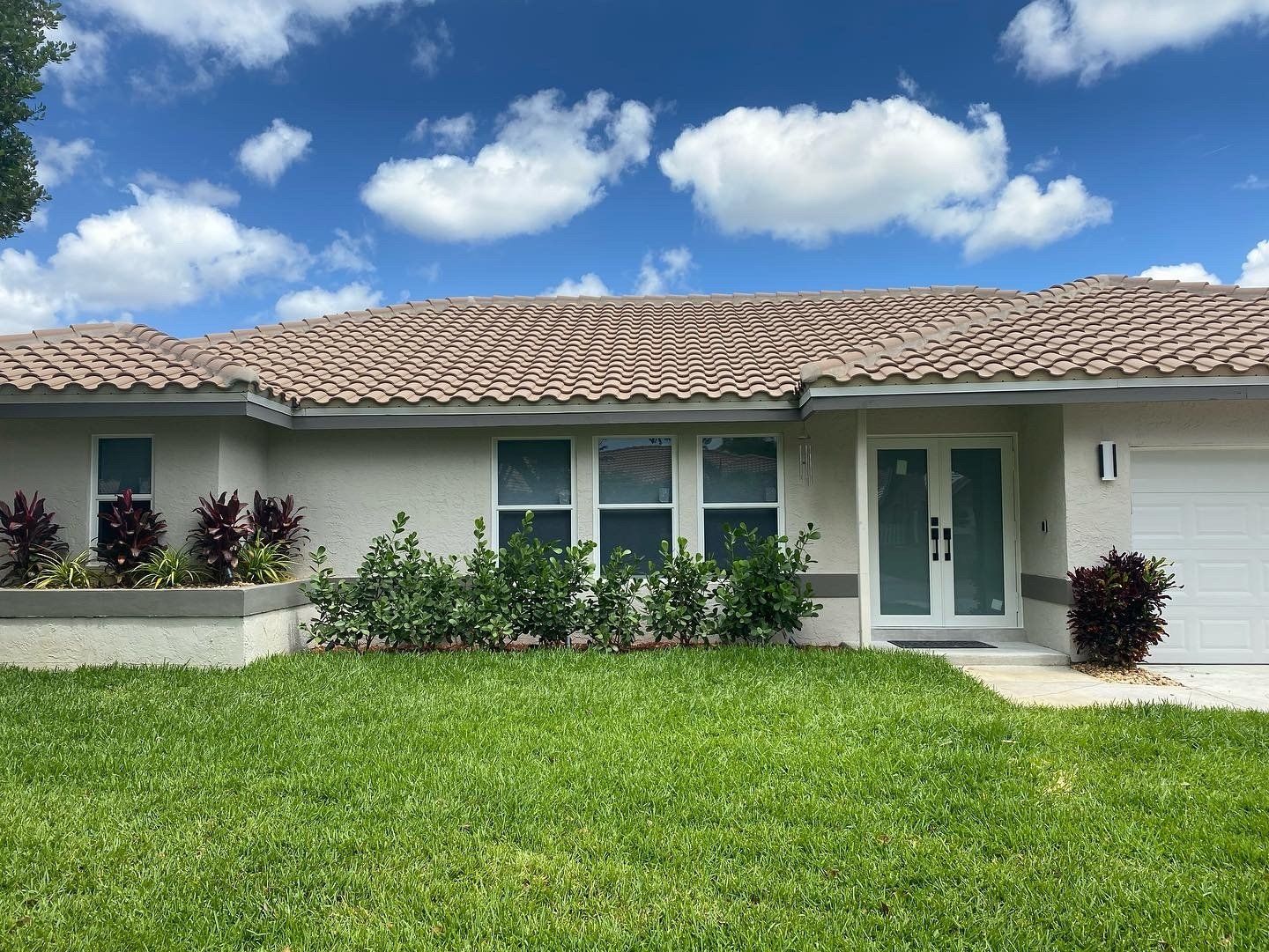 Glass windows and door
