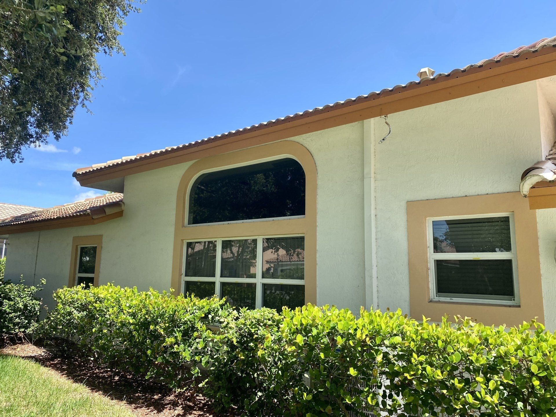 Glass windows and door