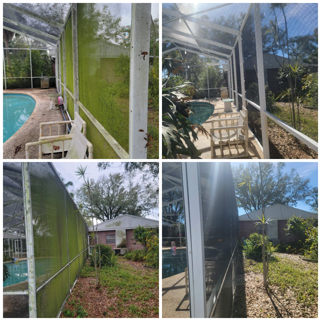 Four views of a screened-in pool enclosure covered in green algae and debris.