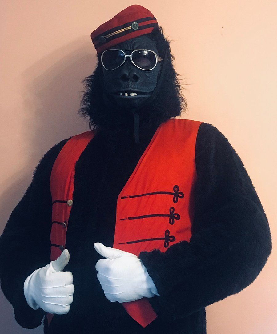 Gorilla-costumed-characters