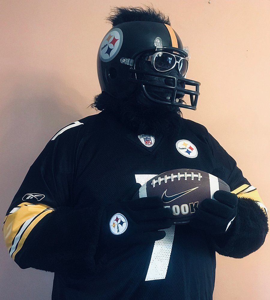 Gorilla-costumed-characters