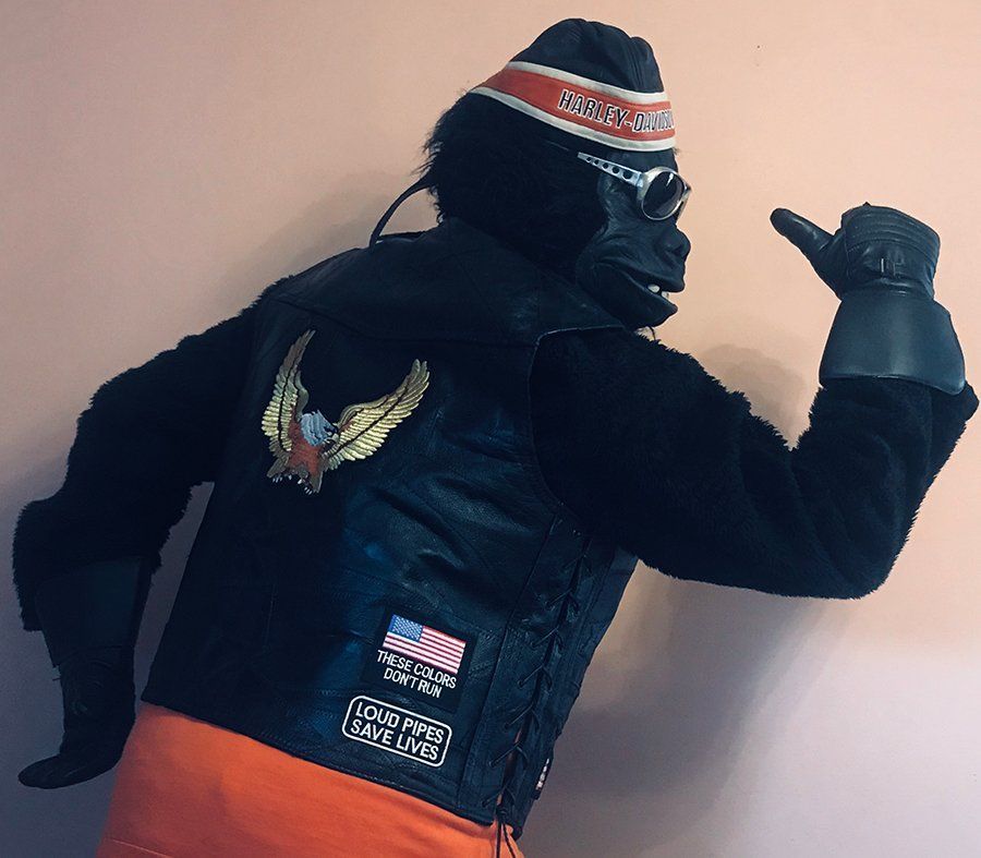 Gorilla-costumed-characters