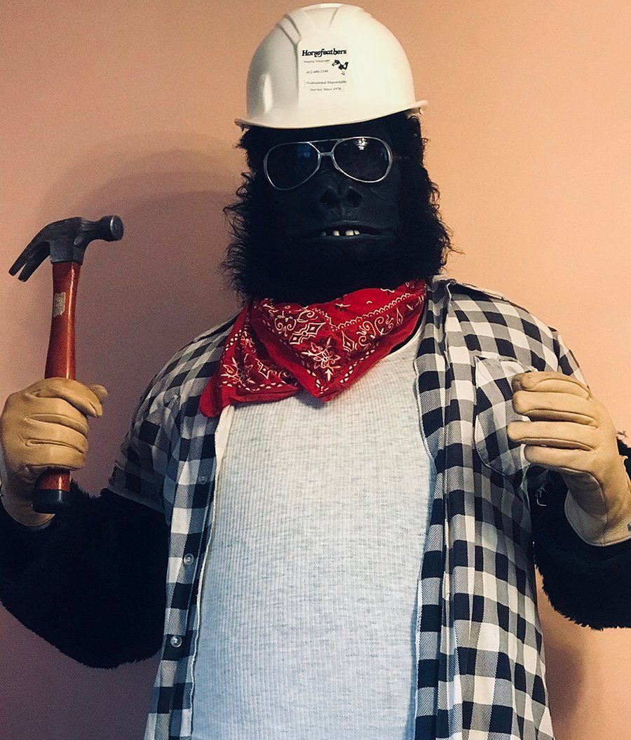 Gorilla-costumed-characters