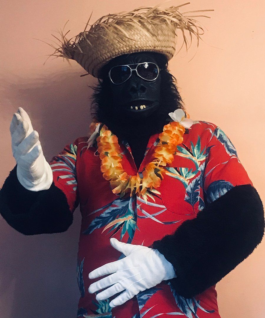 Gorilla-costumed-characters