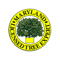 Maryland Licensed Tree Expert