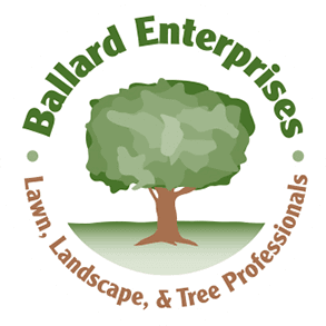 Ballard Enterprises - Logo