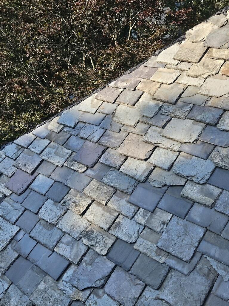 A close up of a roof with a lot of tiles on it.