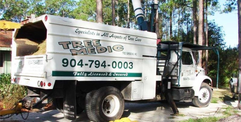 Tree Medic truck with a white truck bed and phone number visible.
