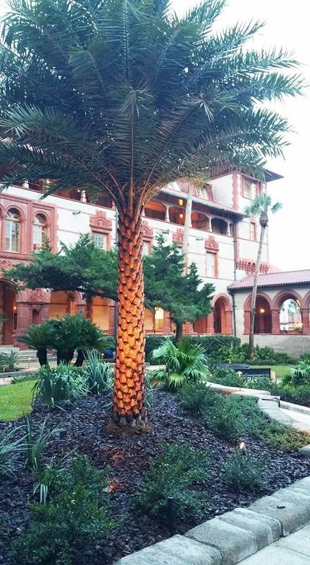 Palm tree in a garden with a red brick building in the background.