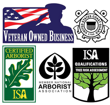 Logos: Veteran-owned business, US Coast Guard, Certified Arborist (ISA), Member National Arborist Association, and ISA Tree Risk Assessment.