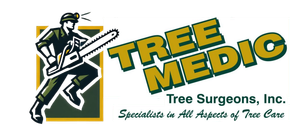 Tree Medic Tree Surgeons