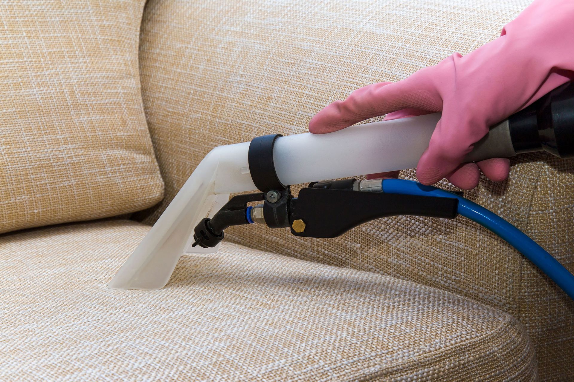 Hand in pink glove using upholstery cleaning tool on beige sofa cushion.