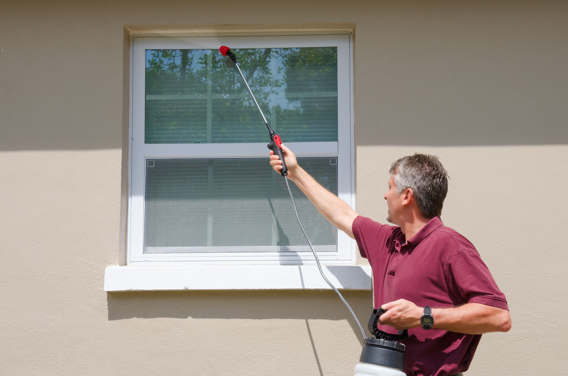pest control company