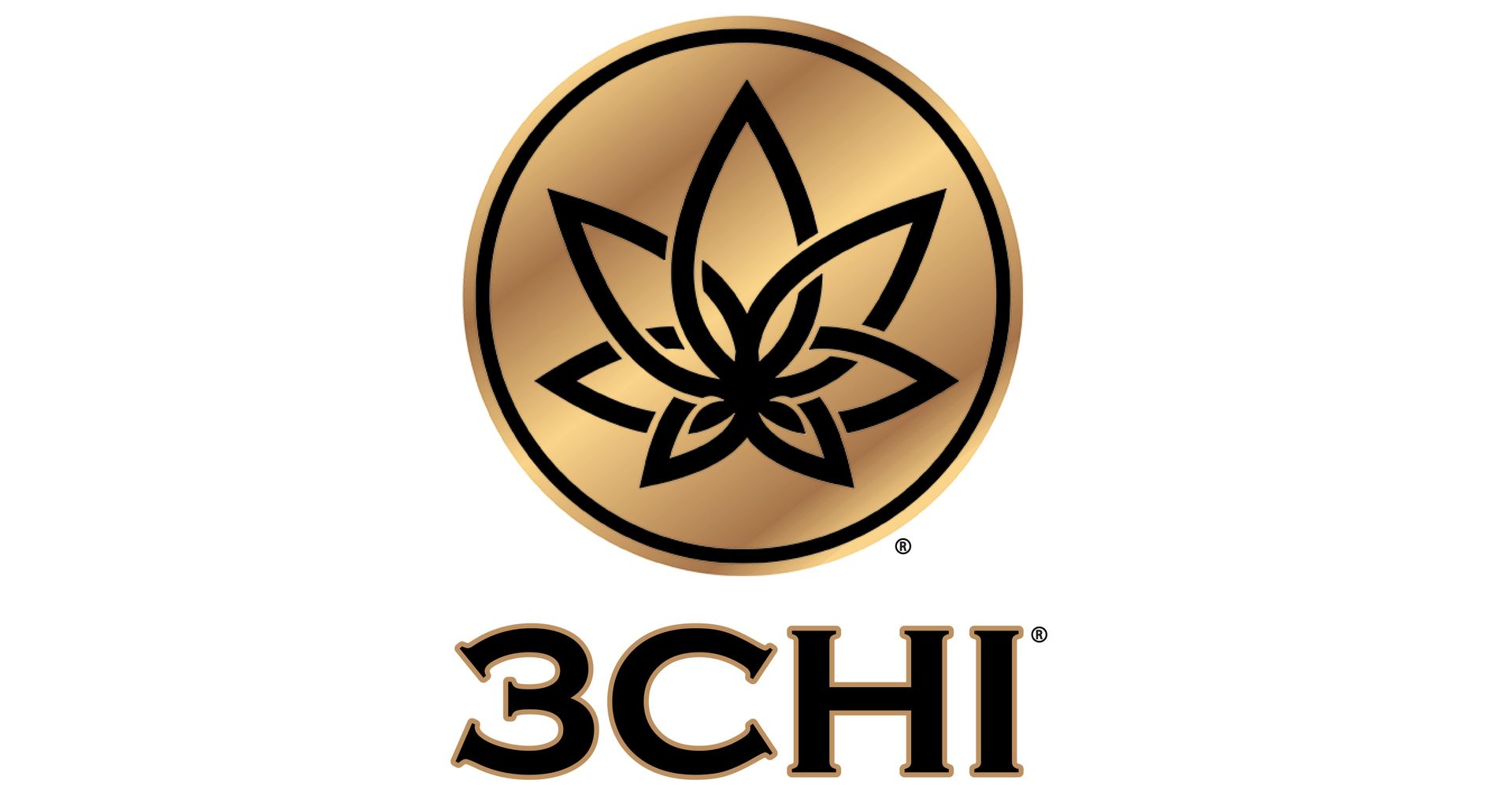 A logo for a company called 3chi with a leaf in a circle.