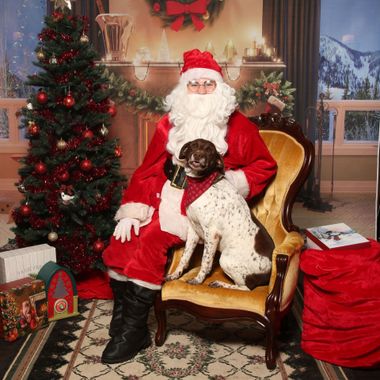 Santa seated indoors with a black-and-white dog beside a decorated Christmas tree