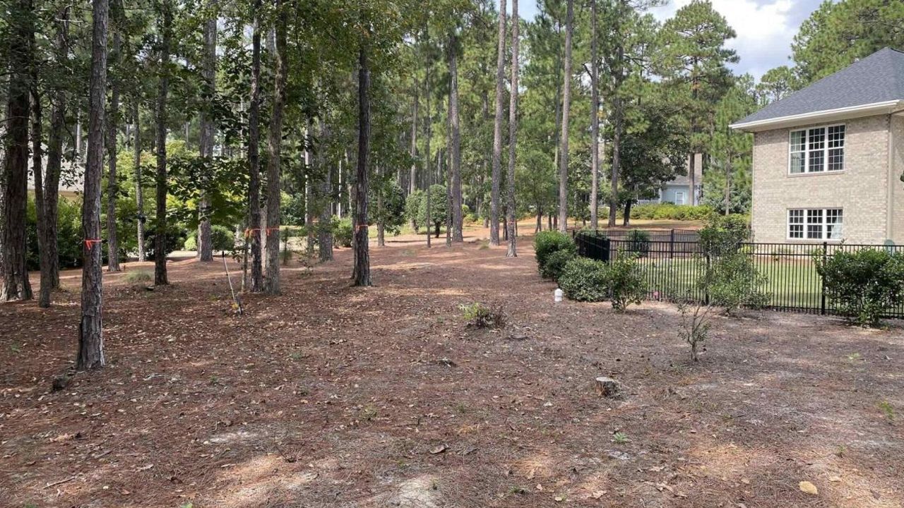 There is a house in the background and a lot of trees in the background.