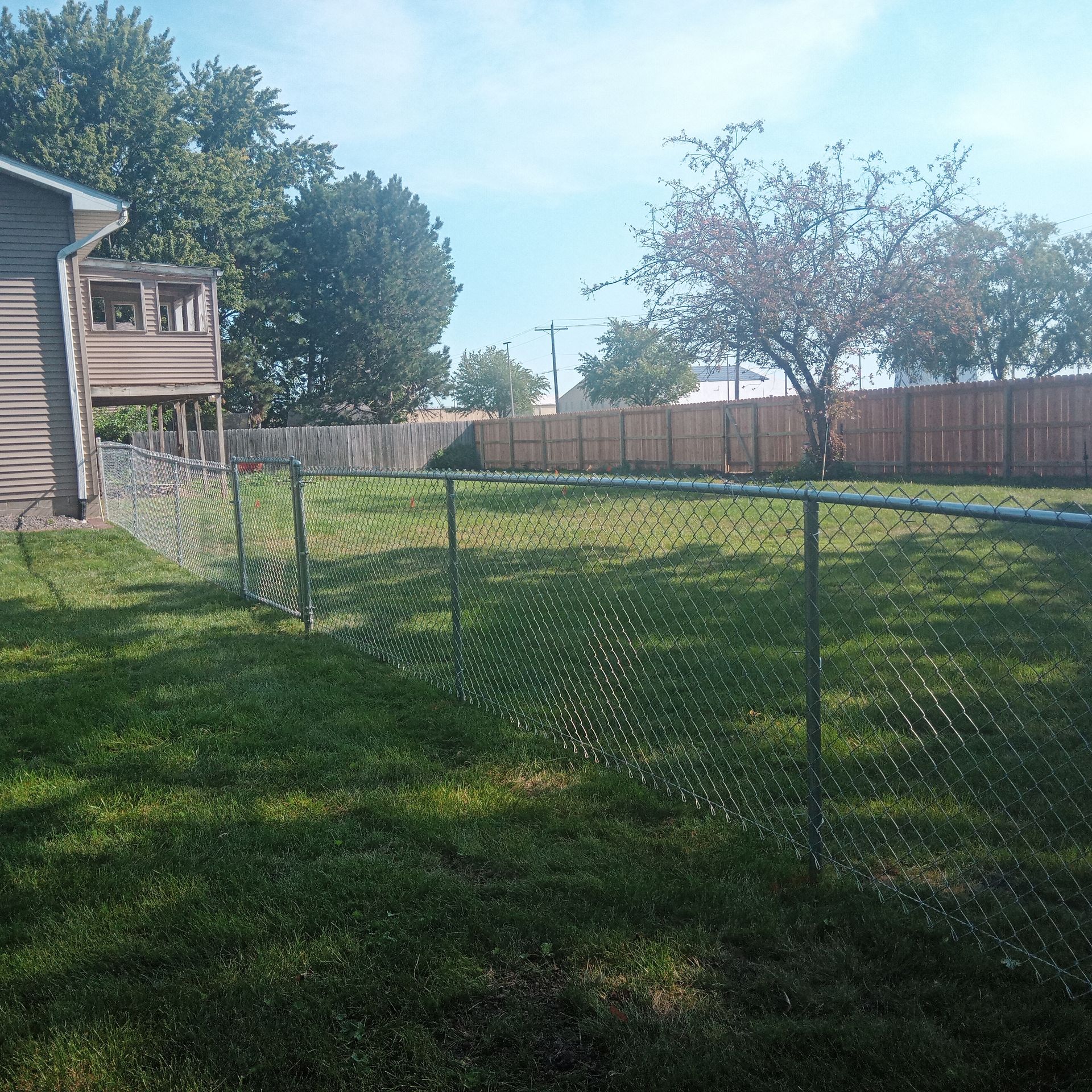 Grassy backyard enclosed by chain-link and wooden fences, with a house on the left and trees in the background under a blue sky.