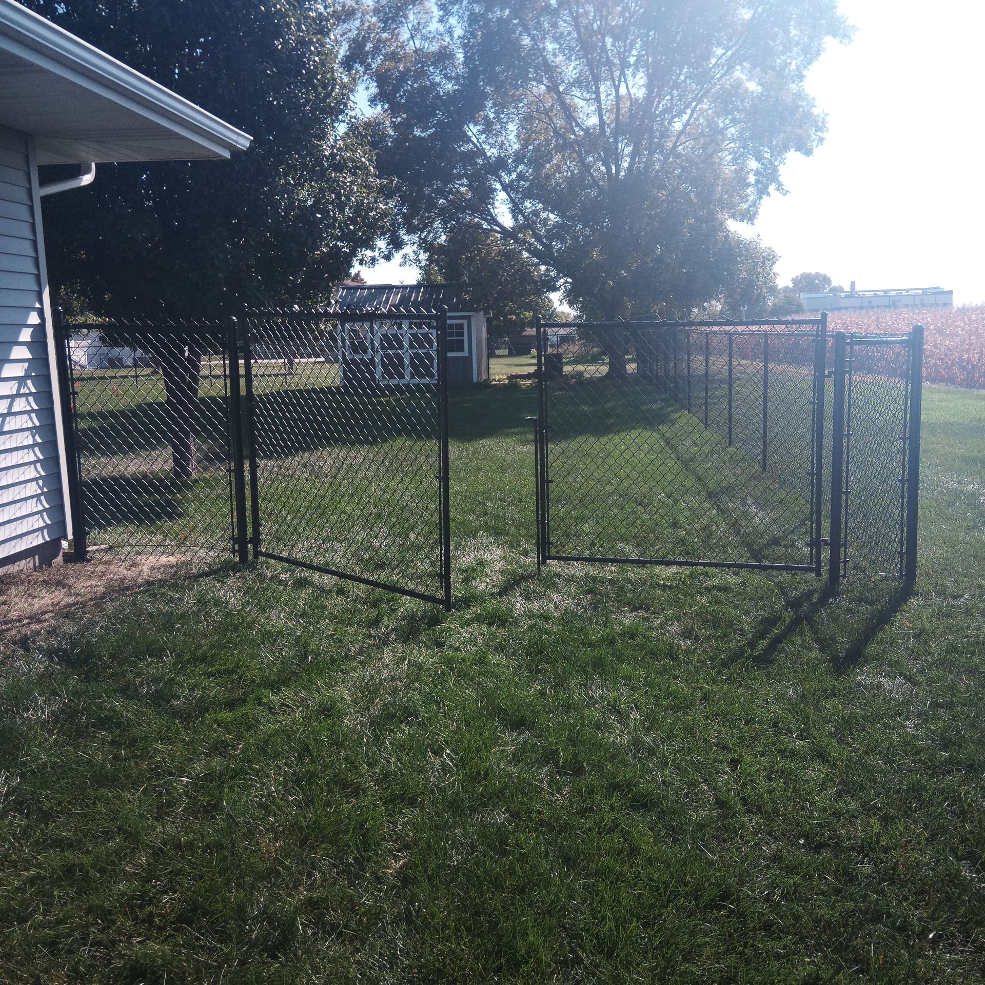 Black chain-link fence with gates encloses a grassy backyard on a sunny day.