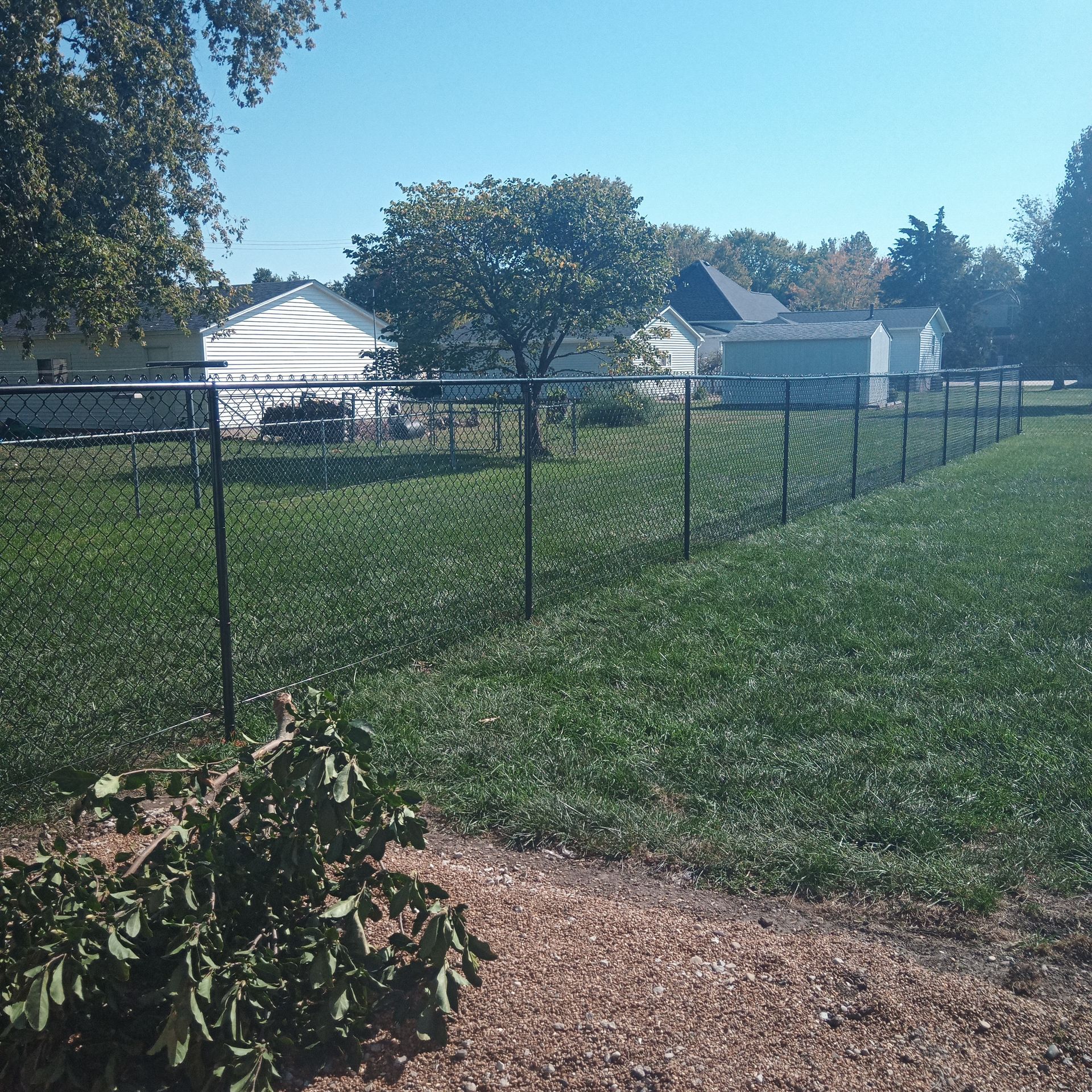 Black chain-link fence in a grassy backyard with a few houses and trees in the background on a sunny day.