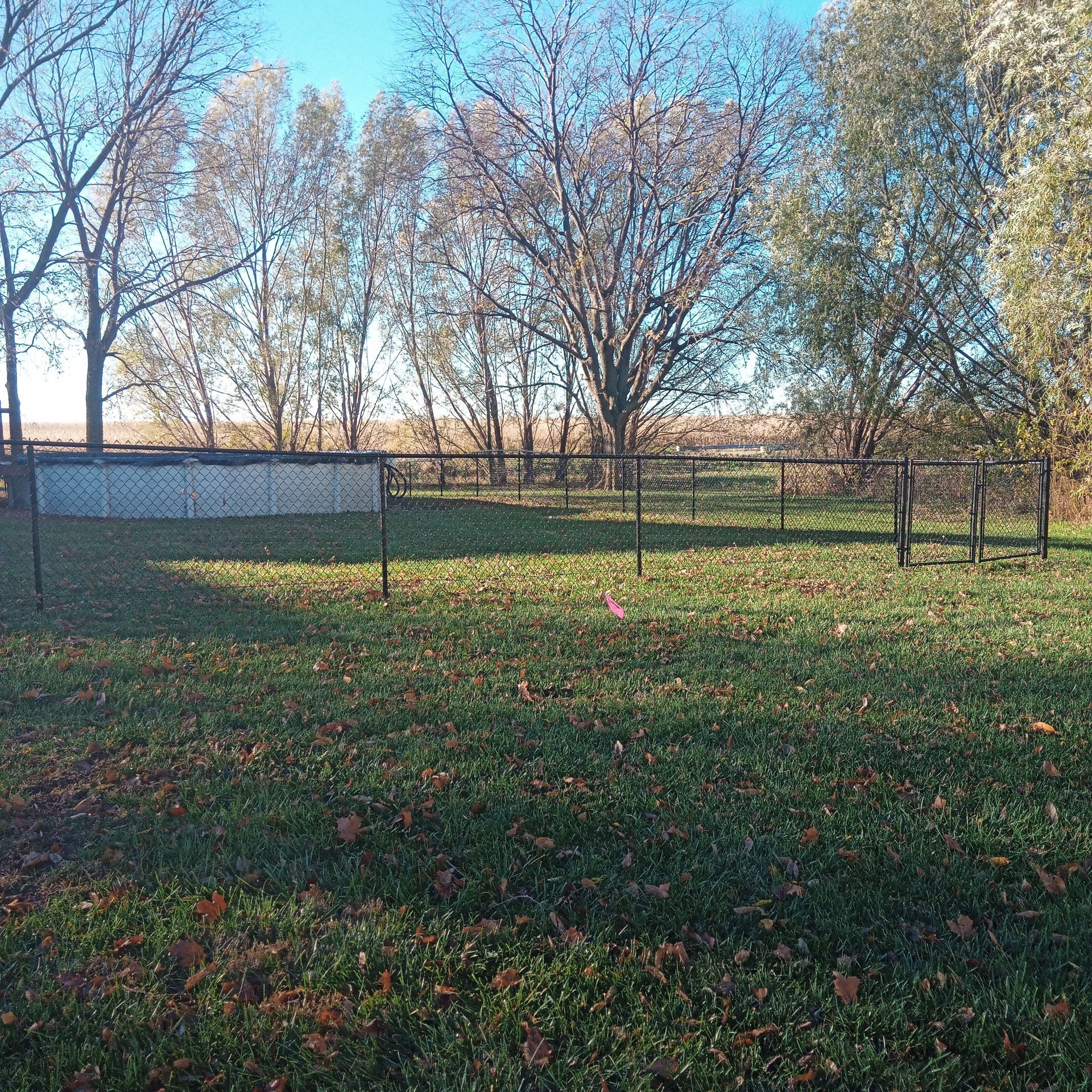 Grassy field with fences and bare trees under a blue sky, likely autumn.