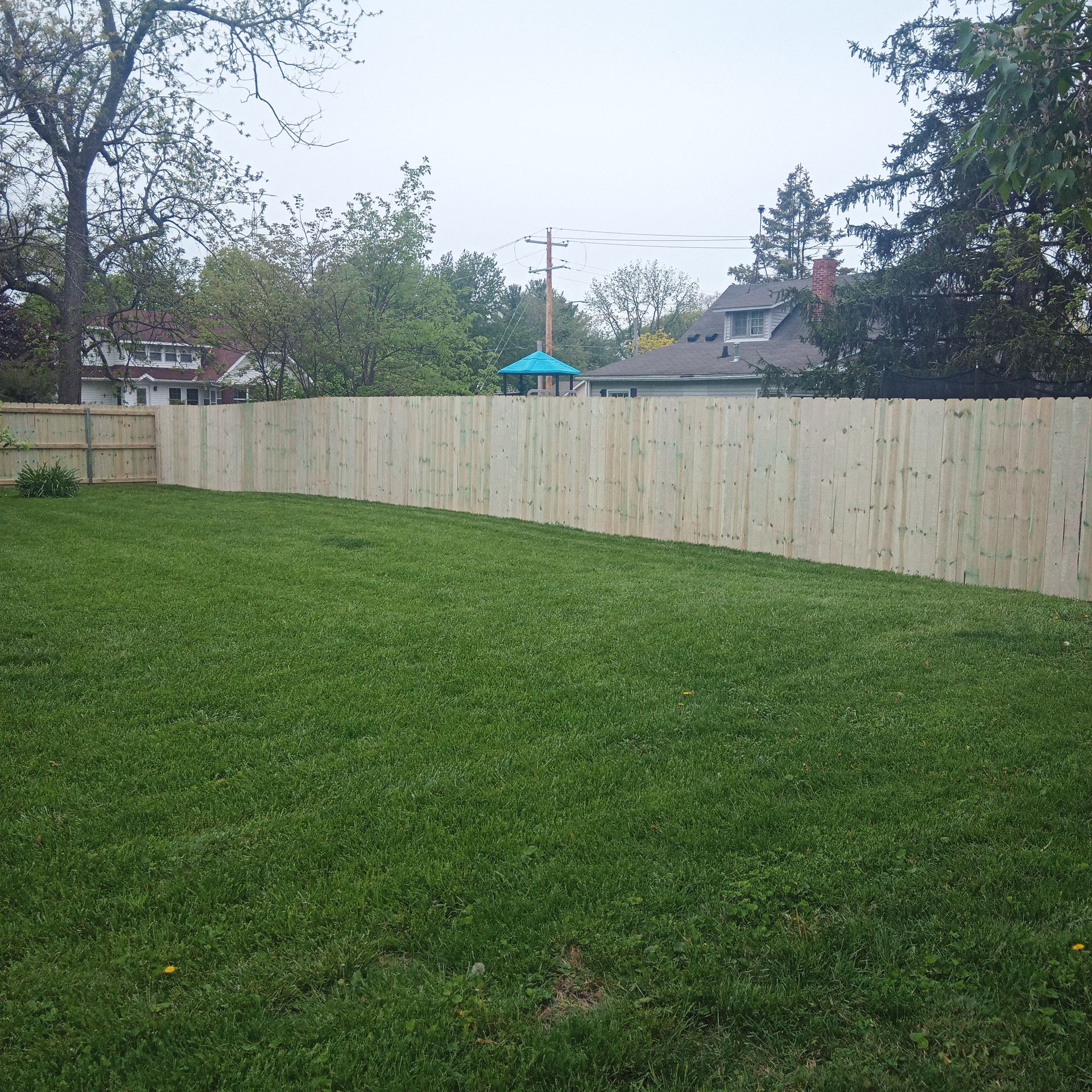Green backyard with wooden fence and houses in the background. Overcast sky.