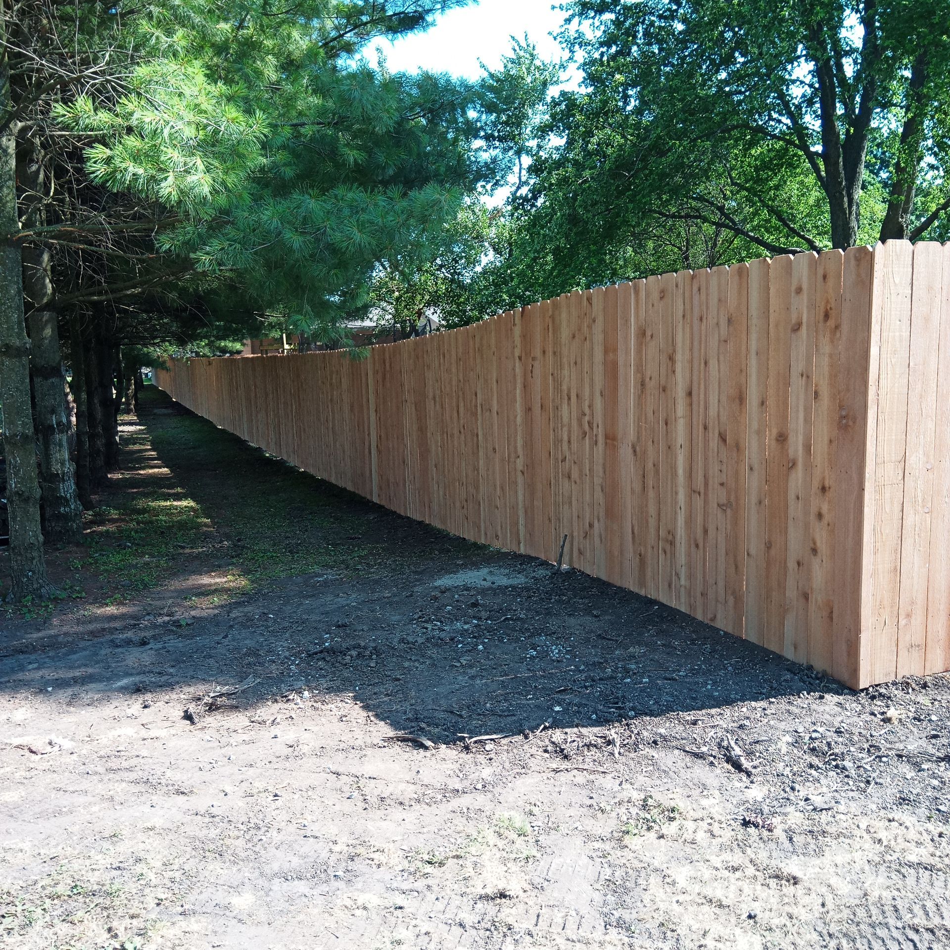 Wooden fence along a gravel path, flanked by tall trees with sunlight dappling the ground.
