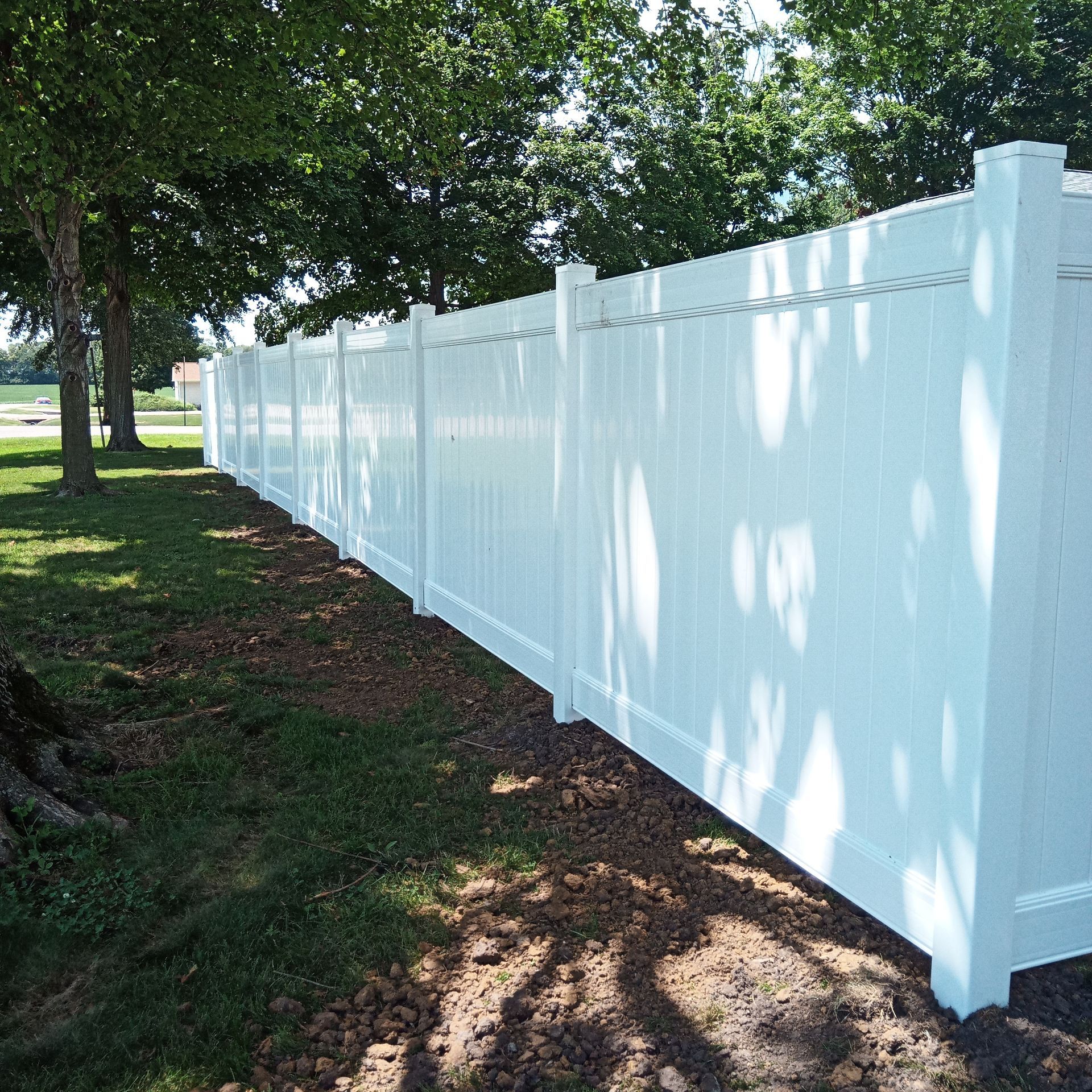 White vinyl privacy fence in a grassy yard, under trees.