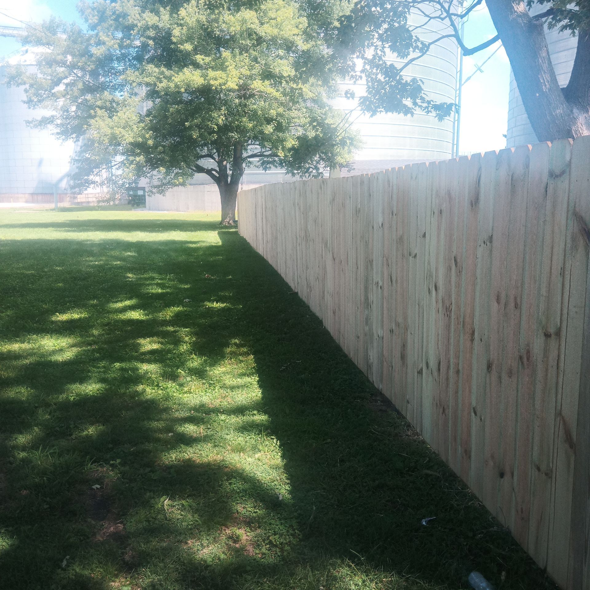 Wooden fence bordering a grassy yard with a large tree.