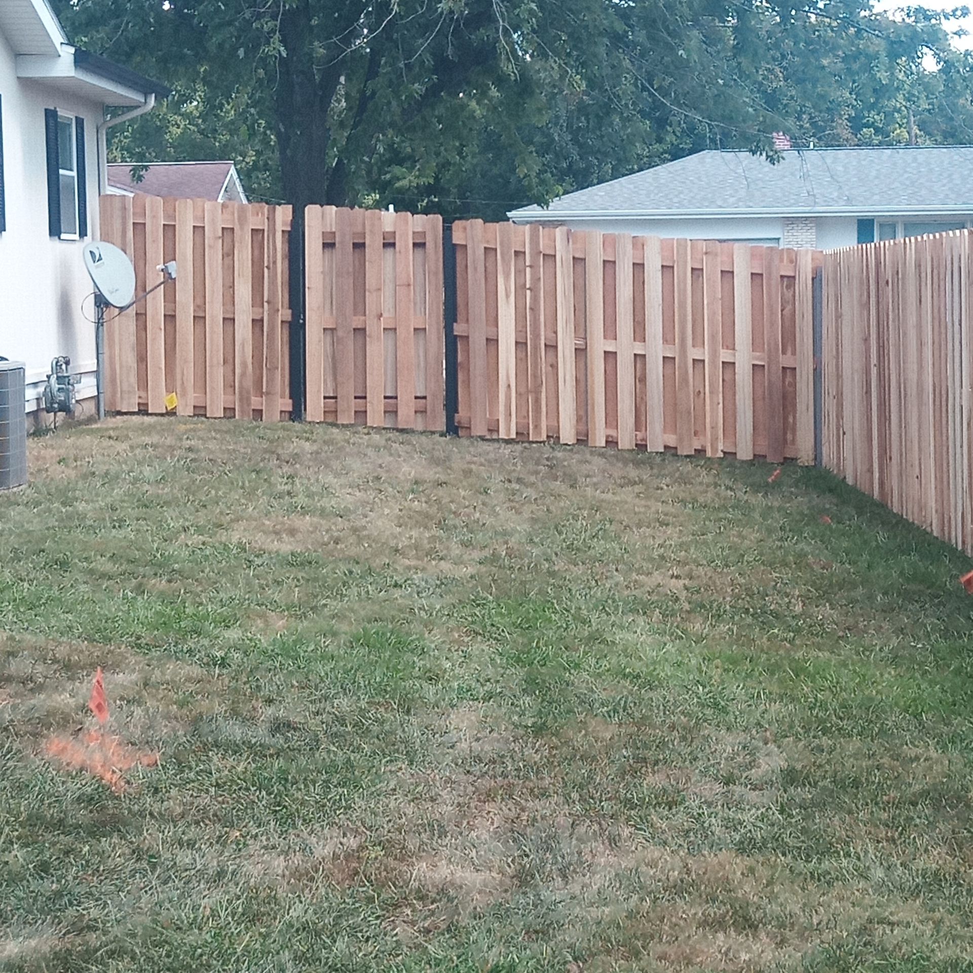 A backyard with a wooden fence. The yard has brown grass. House visible in the background.