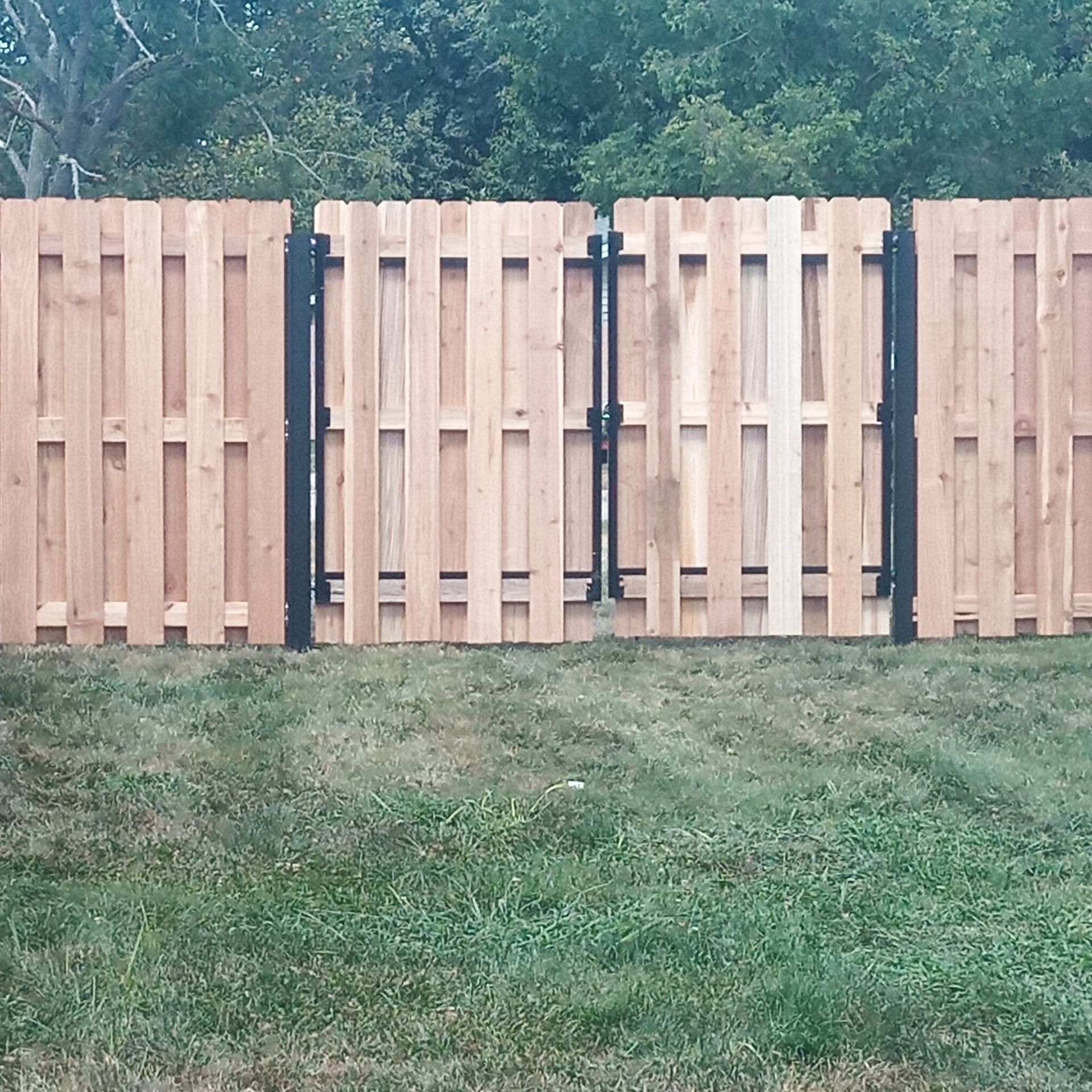 Wooden fence with two black-framed gates. The fence is set in a grassy yard, trees in the background.