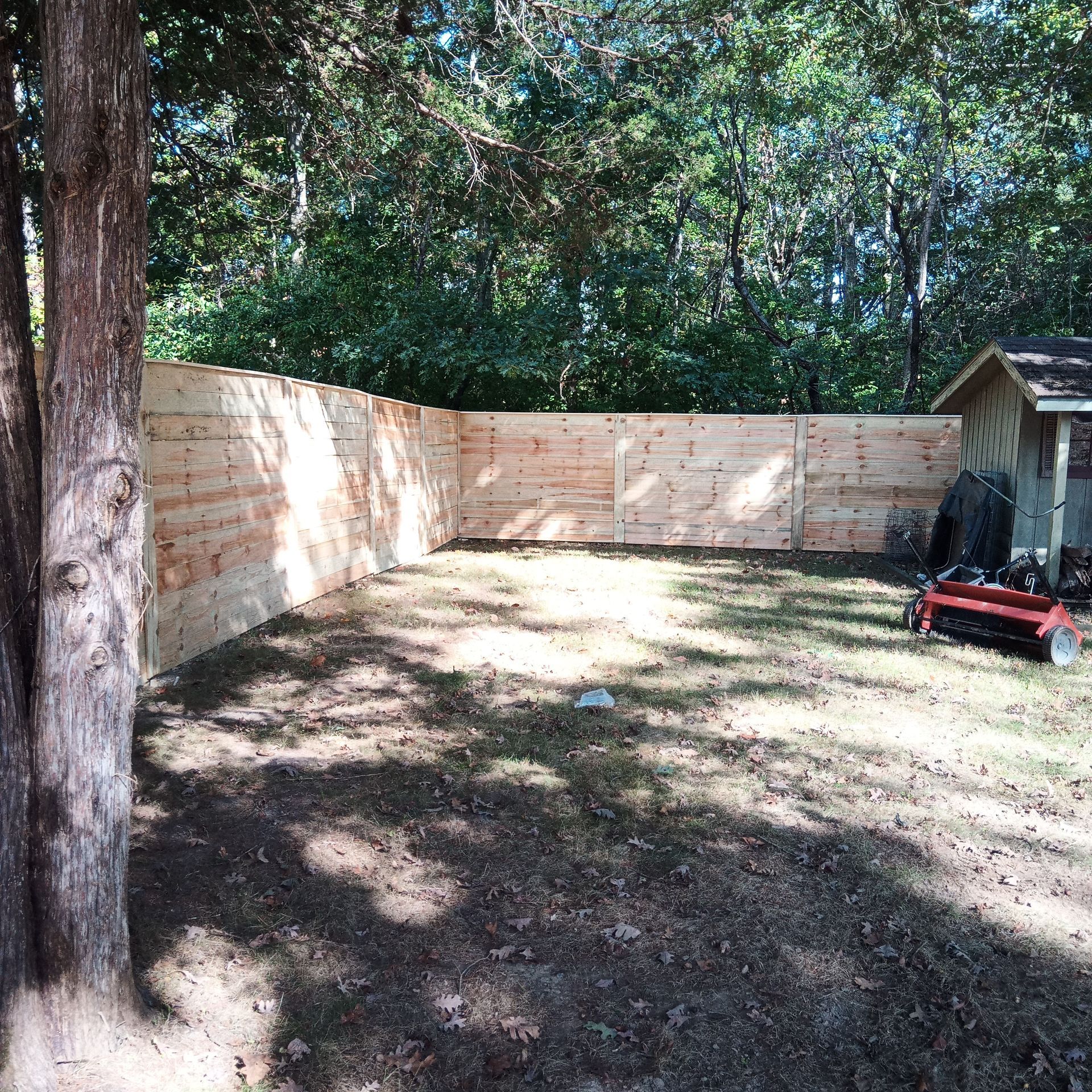Wooden fence enclosing a grassy yard near trees and a small shed.