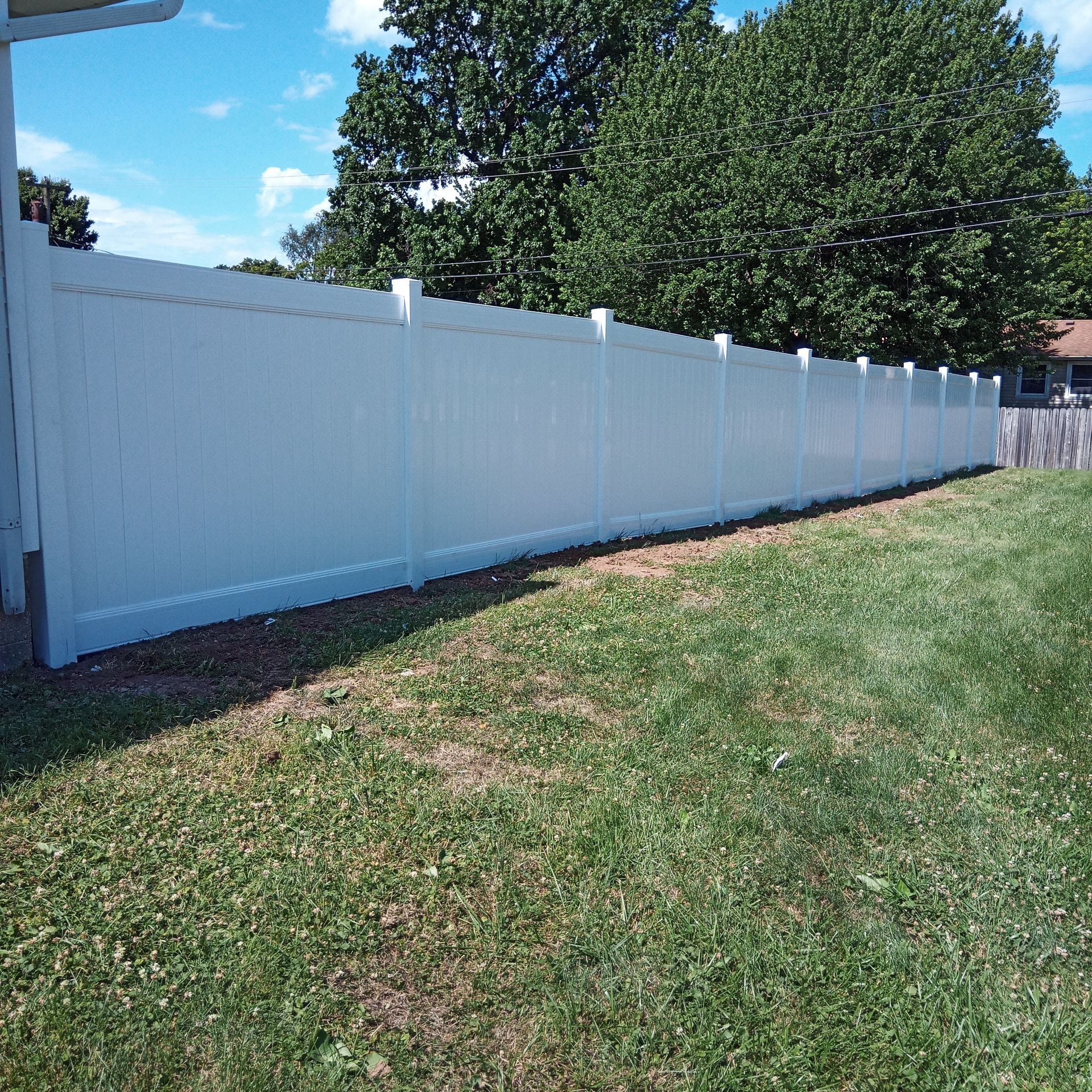 White vinyl privacy fence in a grassy yard under a blue sky.