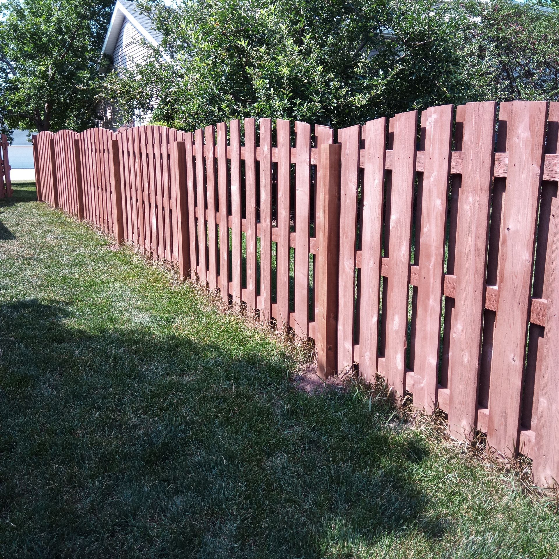Brown wooden fence in a grassy yard, sunlight casts shadows.