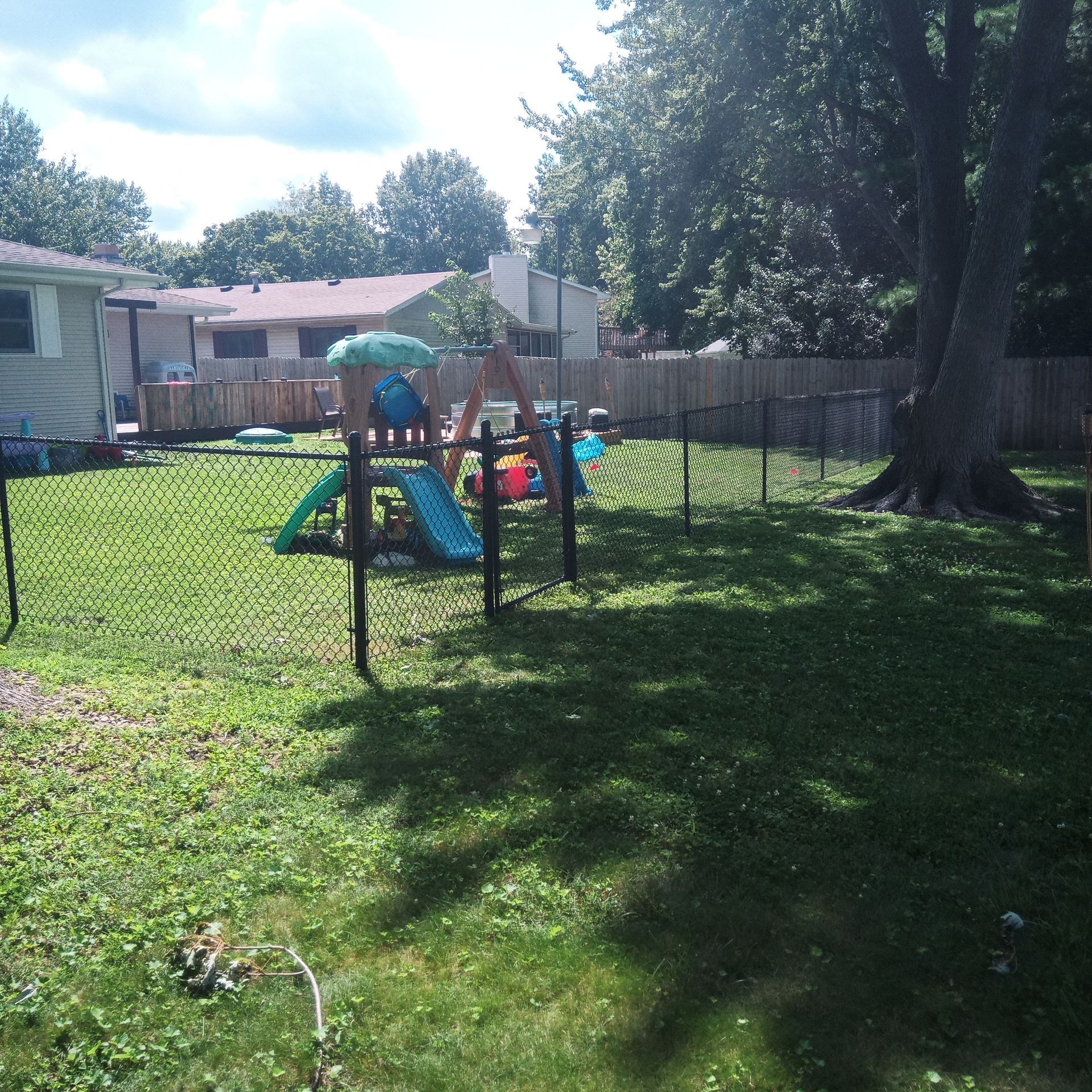 Backyard with a child's swing set. Green grass, trees, and a wooden fence. Overcast sky.