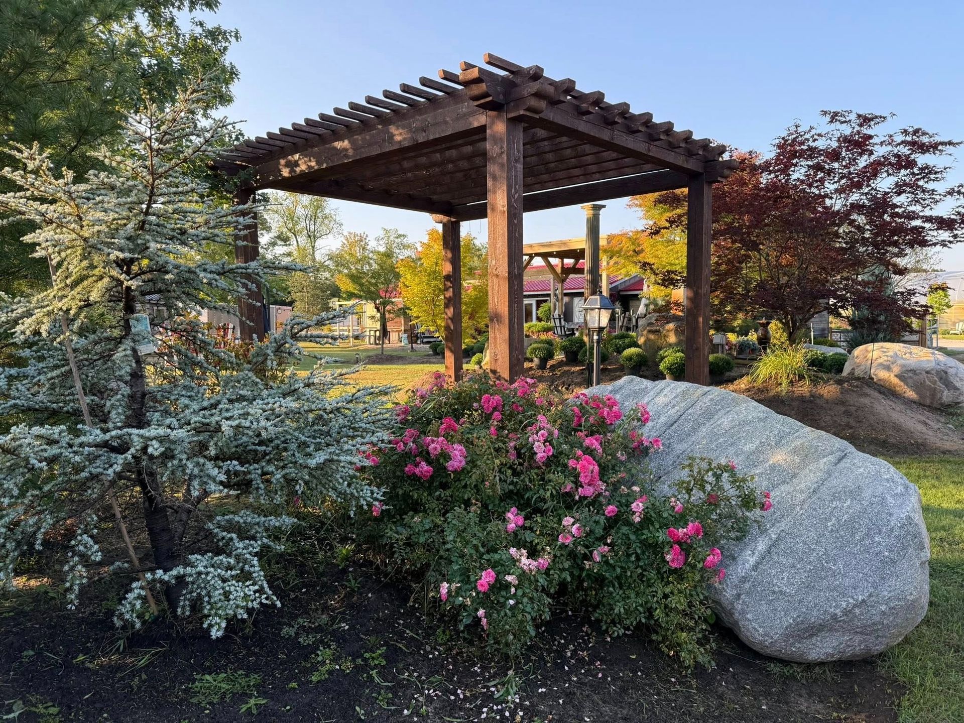 Wooden pergola in a garden with a large rock, pink roses, and trees under a clear sky.
