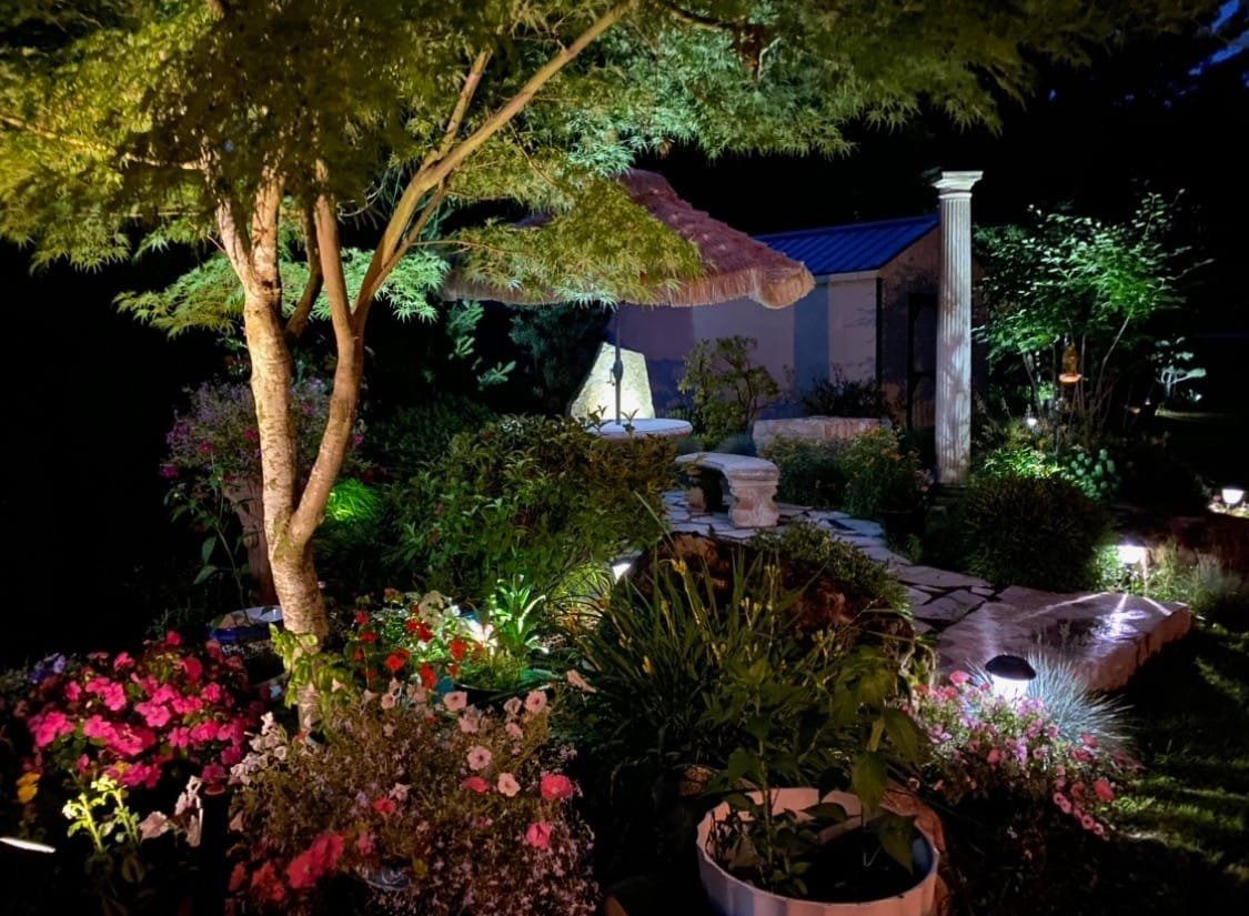 Night view of a garden with illuminated plants, small building, and a stone pathway.