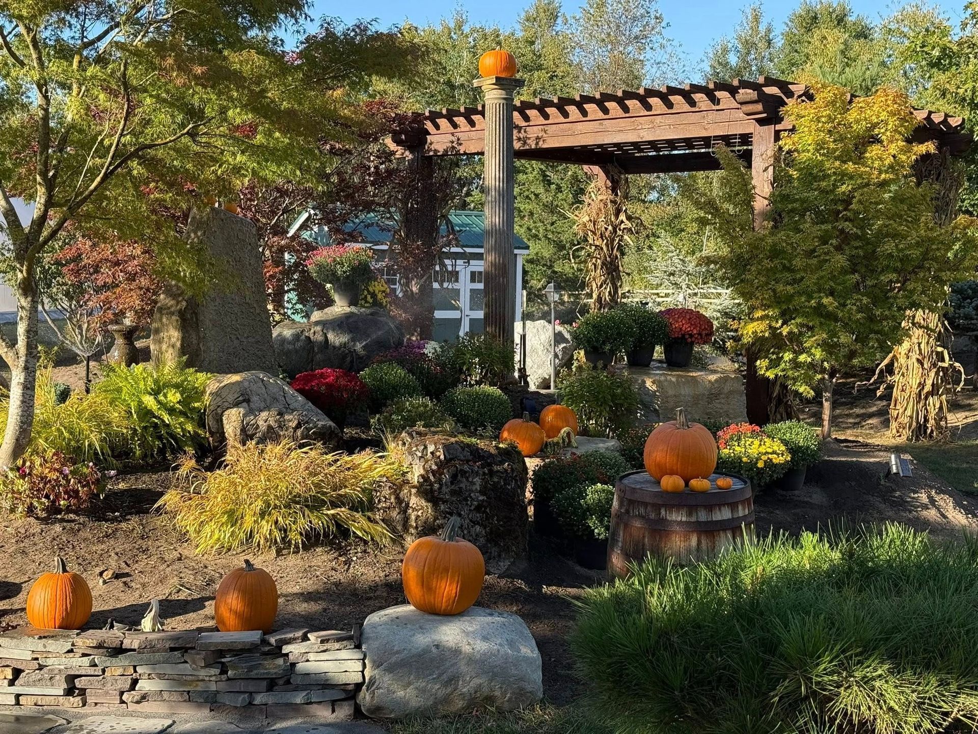 Pumpkins decorate a garden with a pergola, rocks, bushes, and fall foliage.