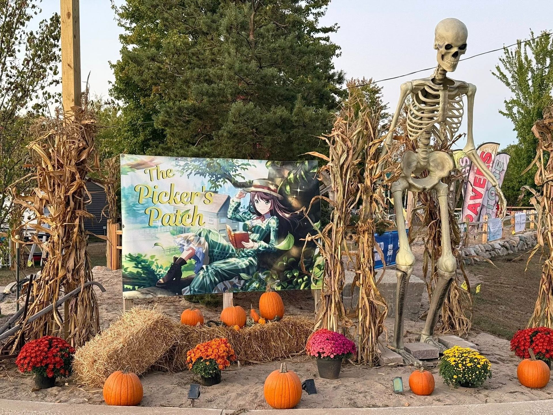 Halloween-themed display: Skeleton, pumpkins, flowers, and a sign for 