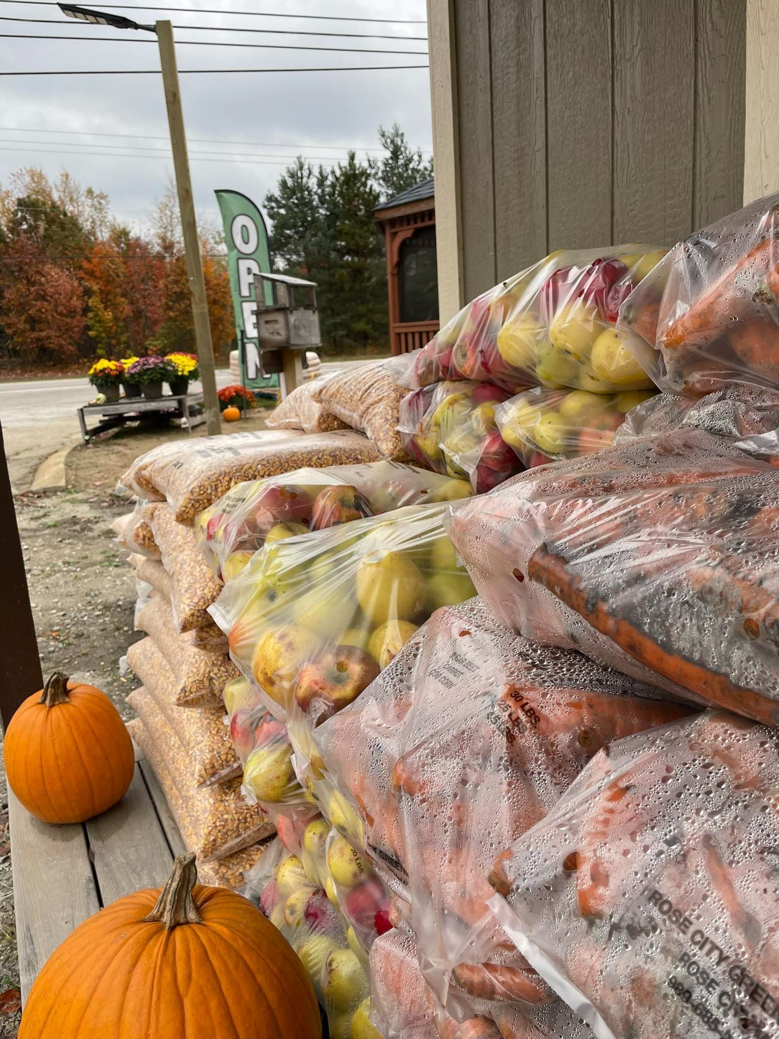 Pile of bagged apples and carrots, pumpkins, and autumn foliage at a roadside farm stand.