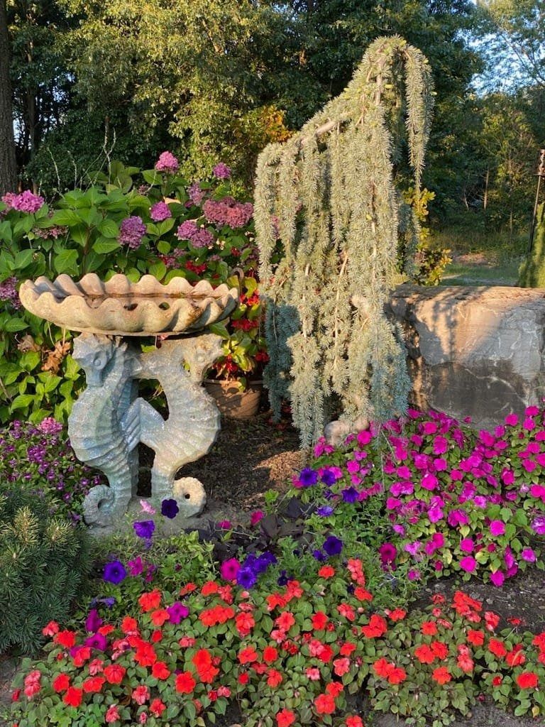 Seahorse-sculpted bird bath surrounded by colorful flowers and a weeping blue spruce in a garden.