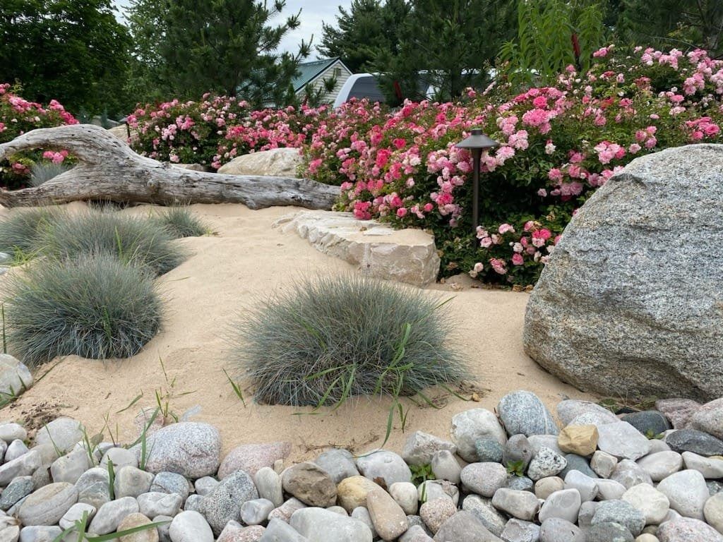 Sandy landscape with pink roses, rocks, and blue-green plants.