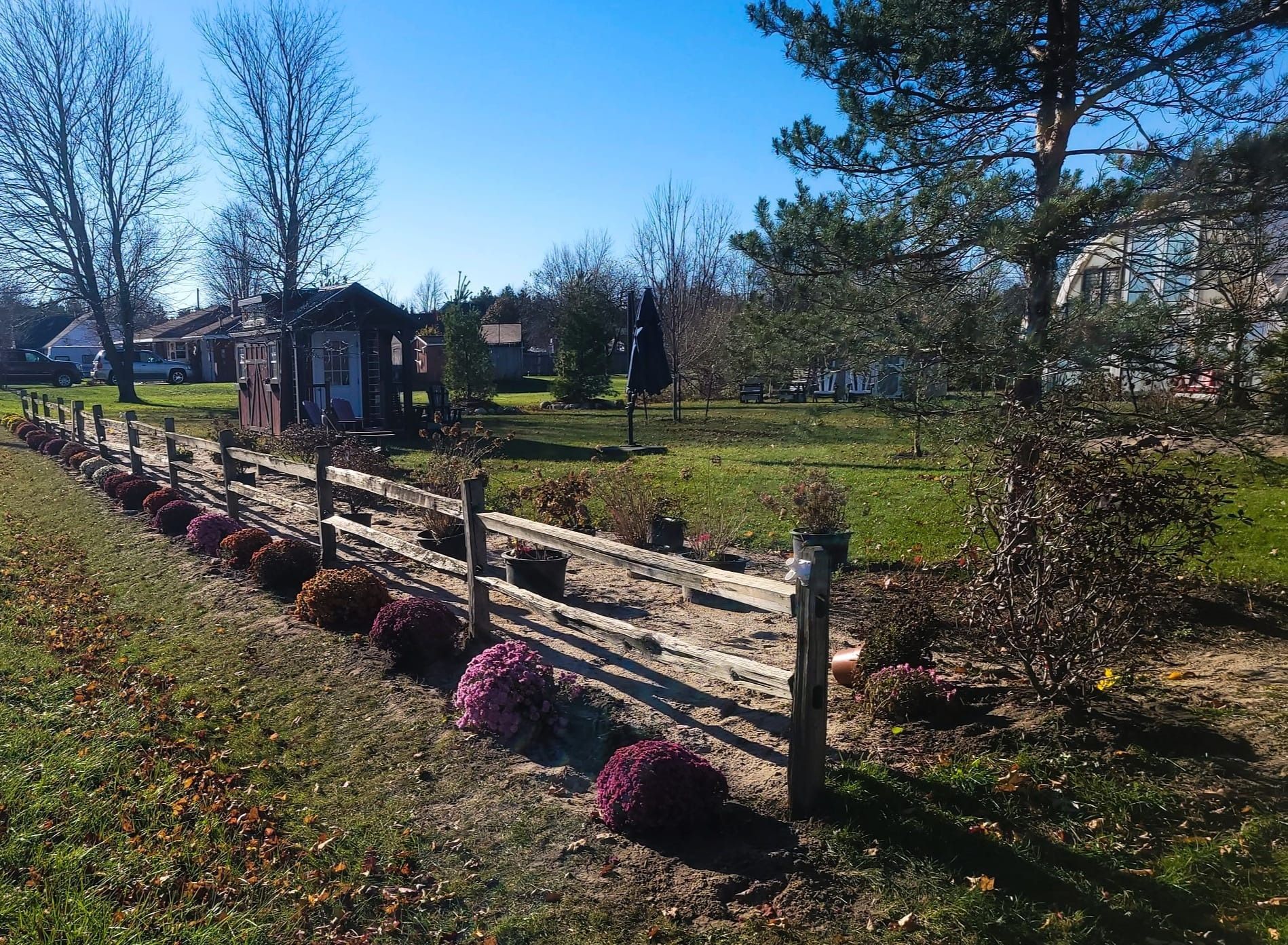 Wooden fence with potted purple flowers in front of a green yard, trees, and buildings on a sunny day.