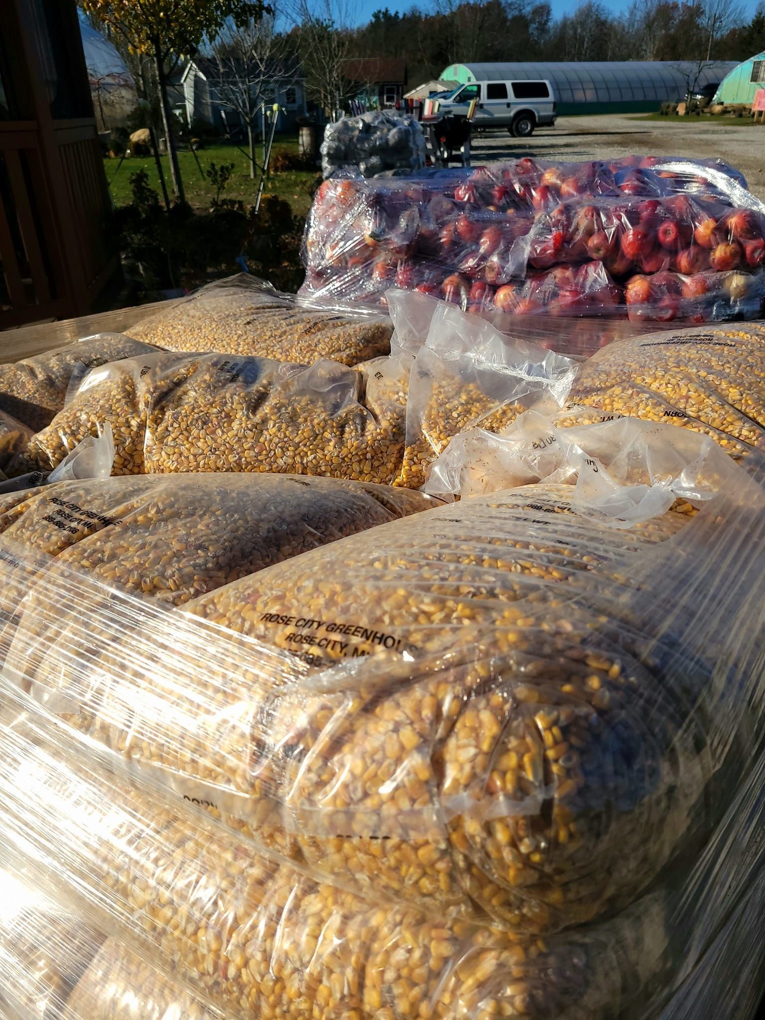 Bags of yellow corn and apples in a farm setting.