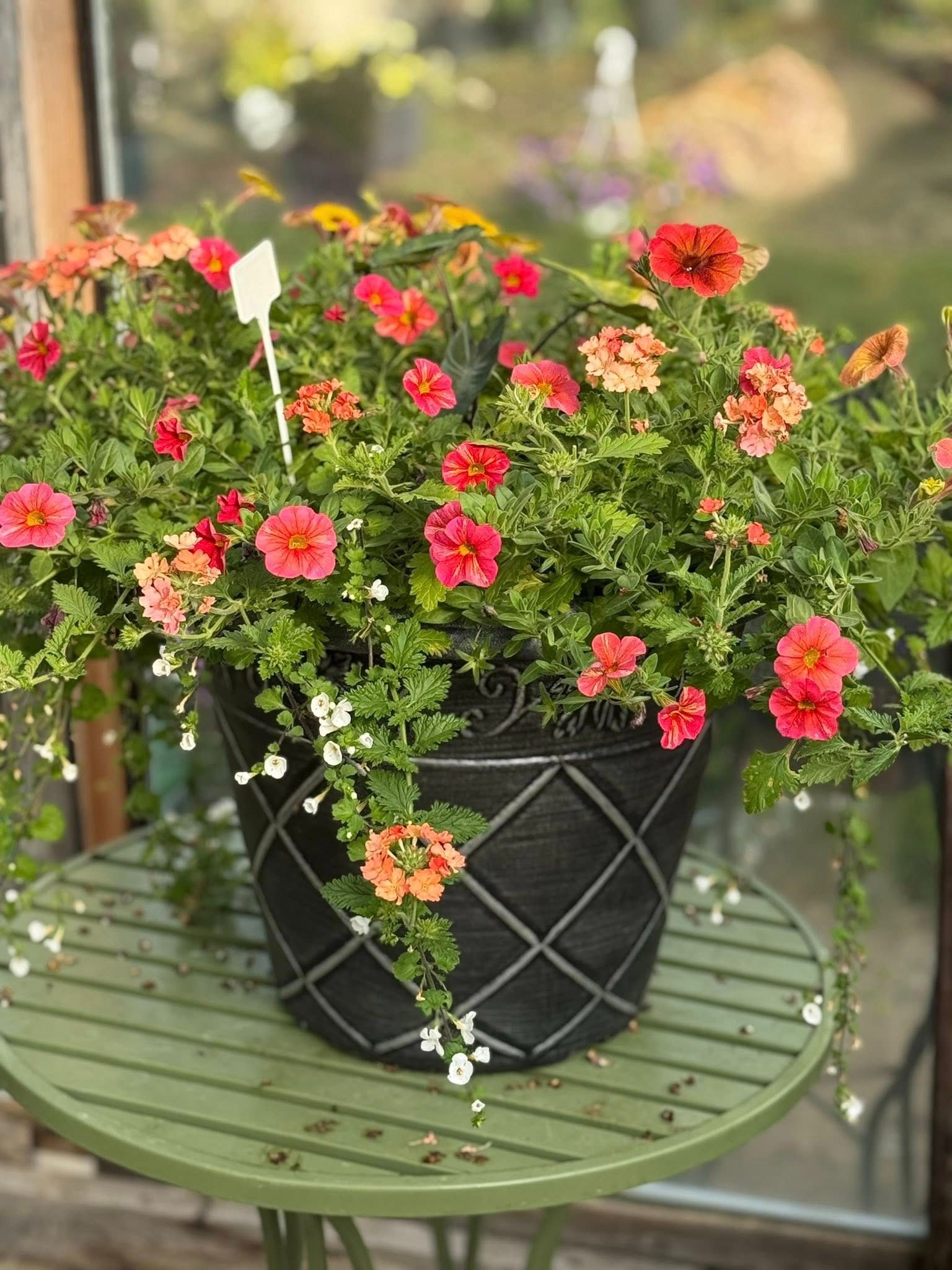 Colorful flowers spilling from a black, patterned pot on a green table.