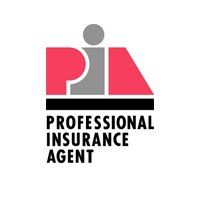 Professional Insurance Agent
