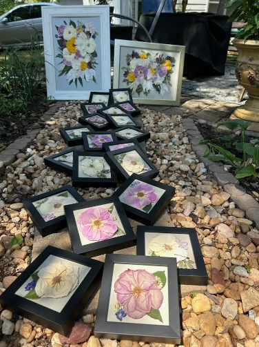 Framed pressed flowers in various colors and arrangements, displayed on a pebble path outdoors.