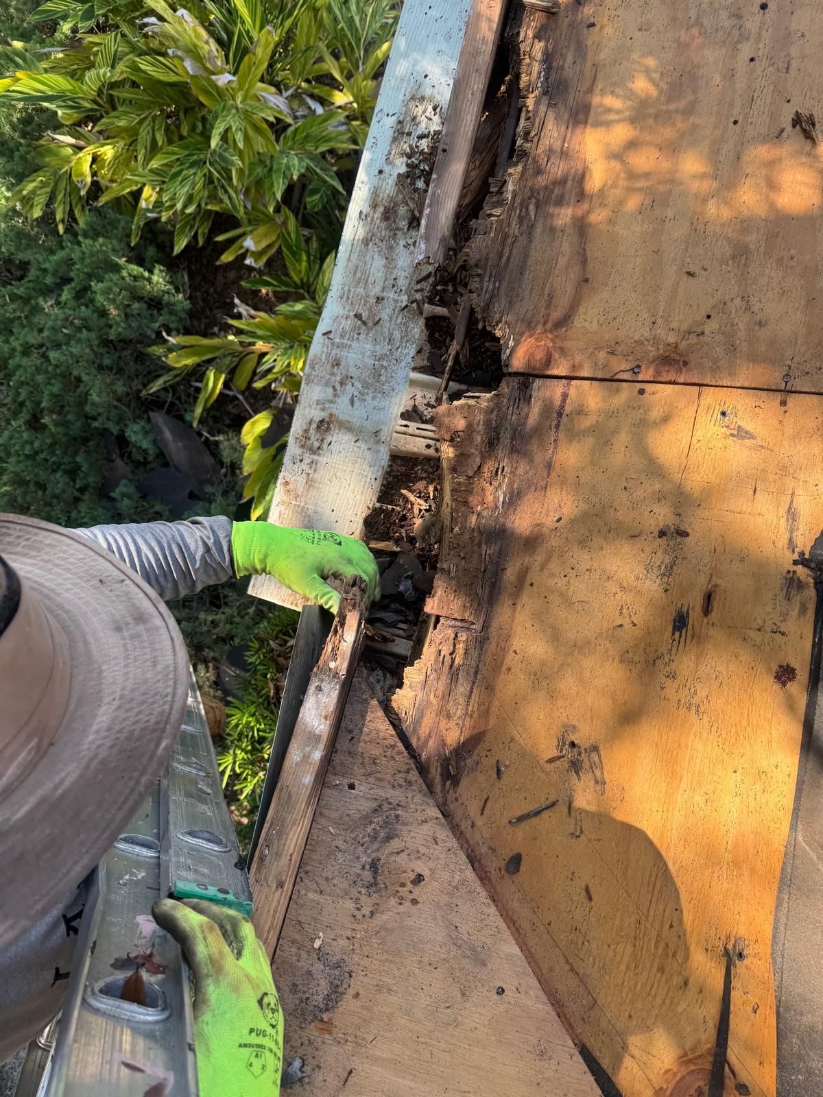 Person in green glove working on a weathered wooden roof edge near trees.